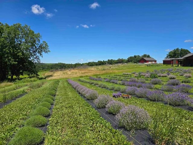 $899,900 | 5320 Sunny Ridge Road, Mineral Point, WI 53565