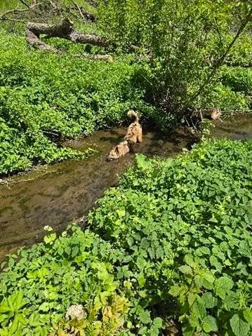 $849,900 | 5320 Sunny Ridge Road, Mineral Point, WI 53565