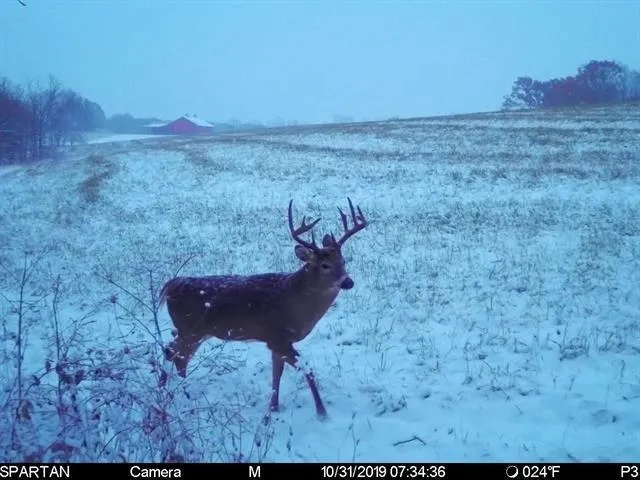 $849,900 | 5320 Sunny Ridge Road, Mineral Point, WI 53565