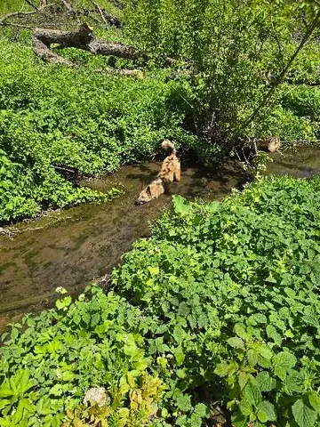 $899,900 | 5320 Sunny Ridge Road, Mineral Point, WI 53565