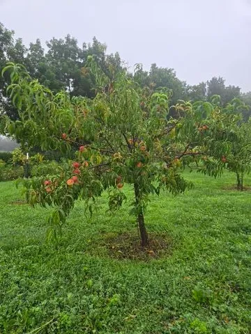 $899,900 | 5320 Sunny Ridge Road, Mineral Point, WI 53565