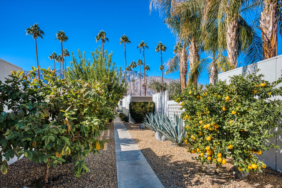 1848 Sandcliff Road Palm Springs, CA 92264 - Photo 54 of 58 70