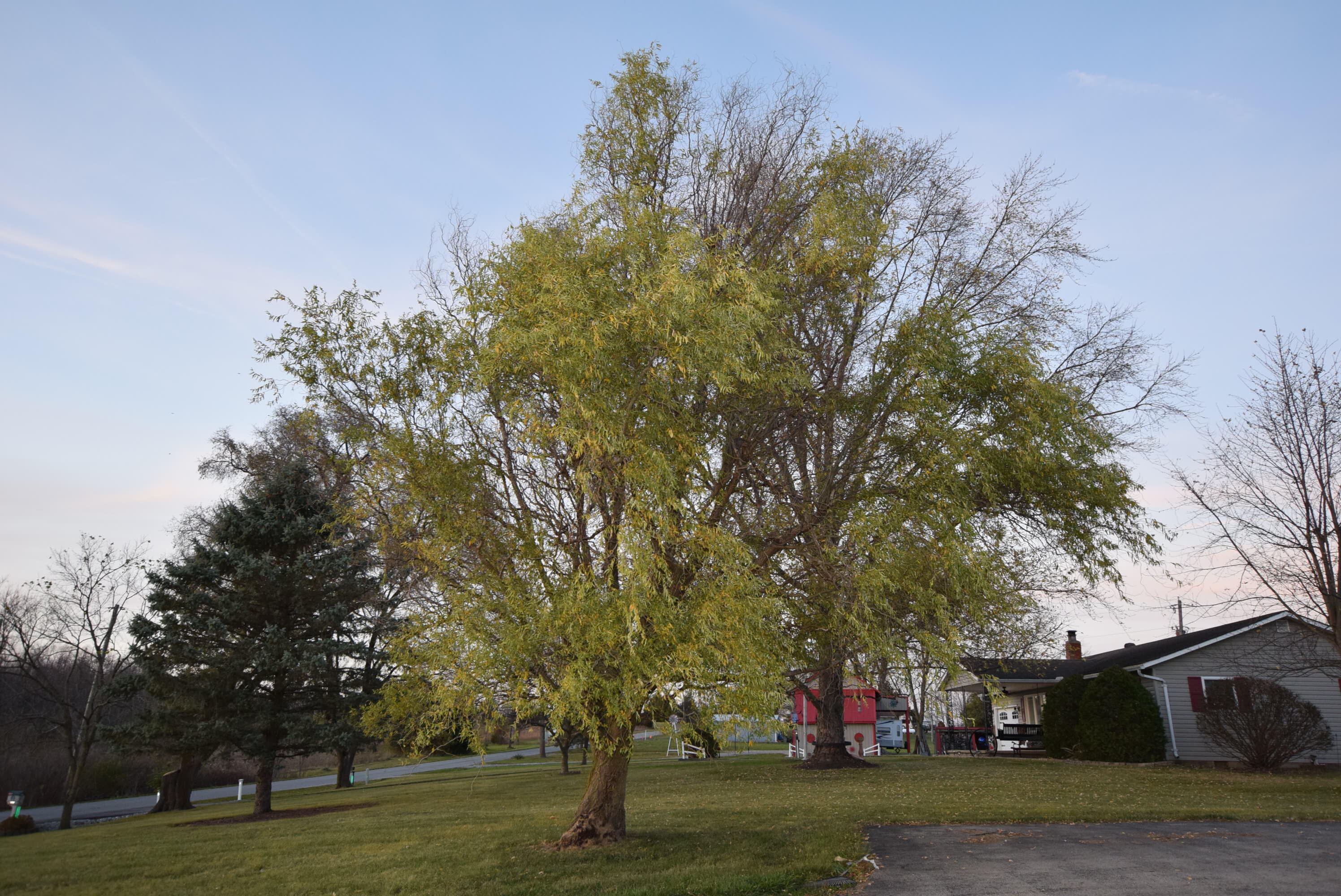 3861 Church Road Urbana, OH 43078 - Photo 29 of 30 Gallery Image 29