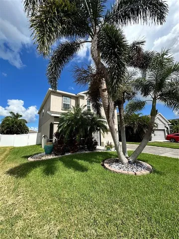 a view of a park with a tree