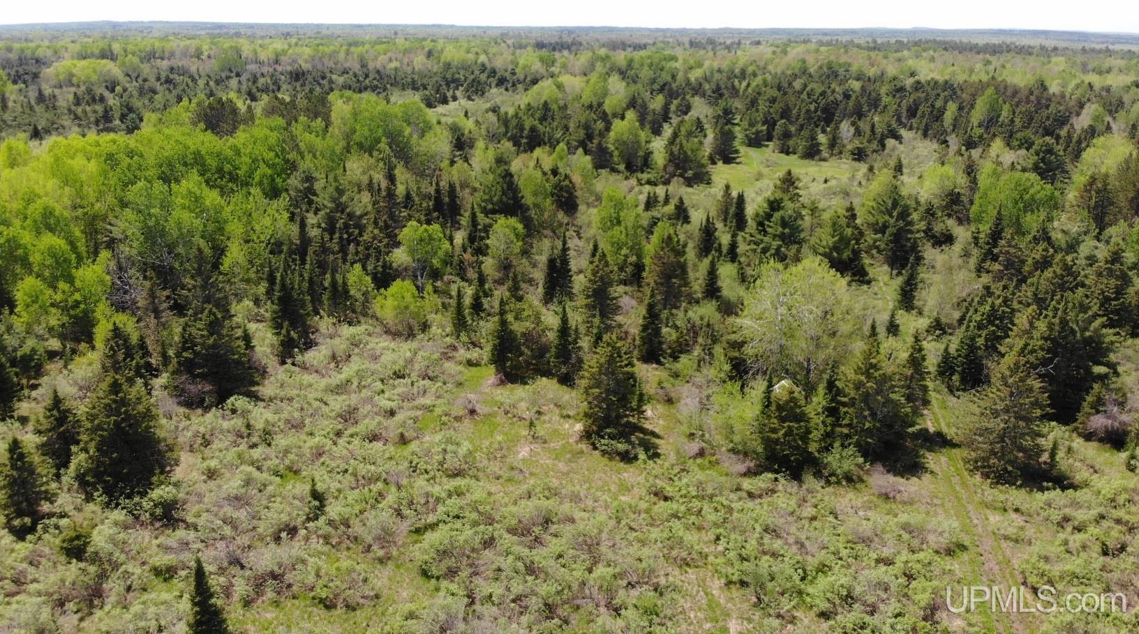 15467 Larson Road Bruce Crossing, MI 49912 - Photo 6 of 44
