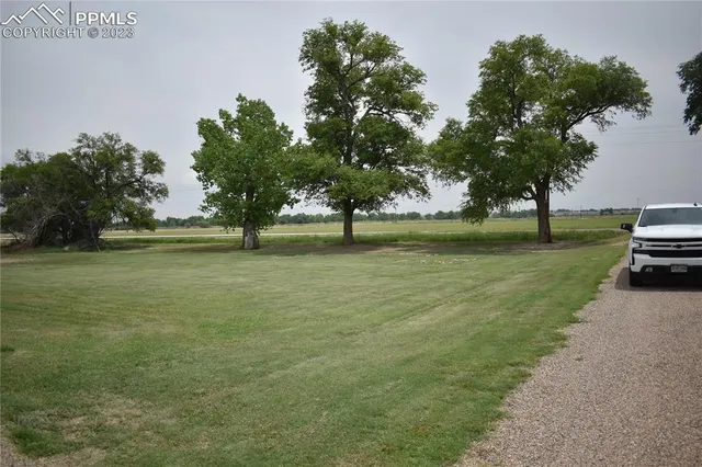 a view of ocean with trees