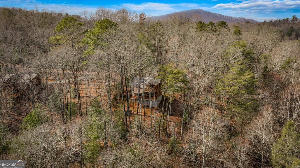 275 North Moreland Drive Blue Ridge, GA 30513 - Photo 26 of 71