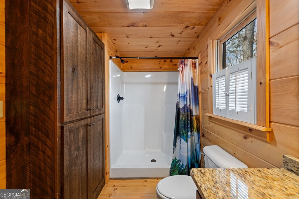 275 North Moreland Drive Blue Ridge, GA 30513 - Photo 58 of 71