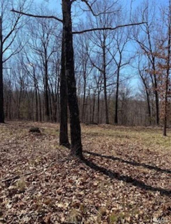 0 Red Wing Road Waynesville, MO 65583 - Photo 14 of 19 Gallery Image 14