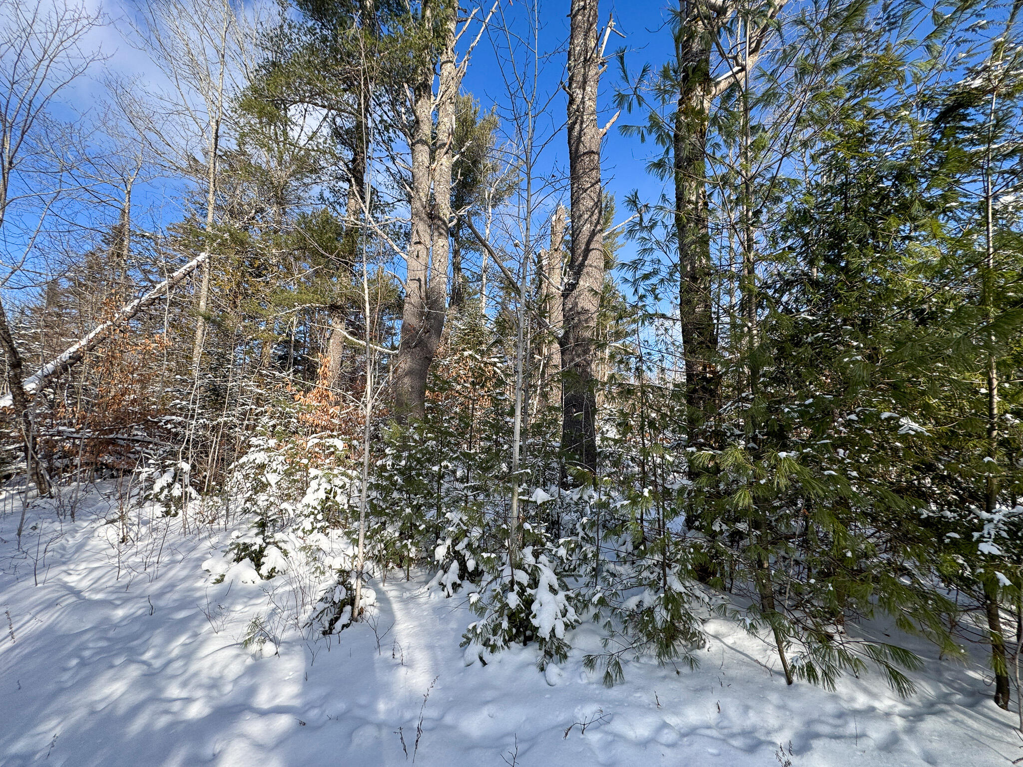 985 Grindstone Road Stacyville, ME 04777 - Photo 28 of 32 28