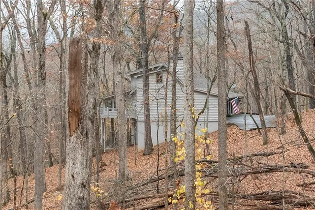 a view of a yard of the house
