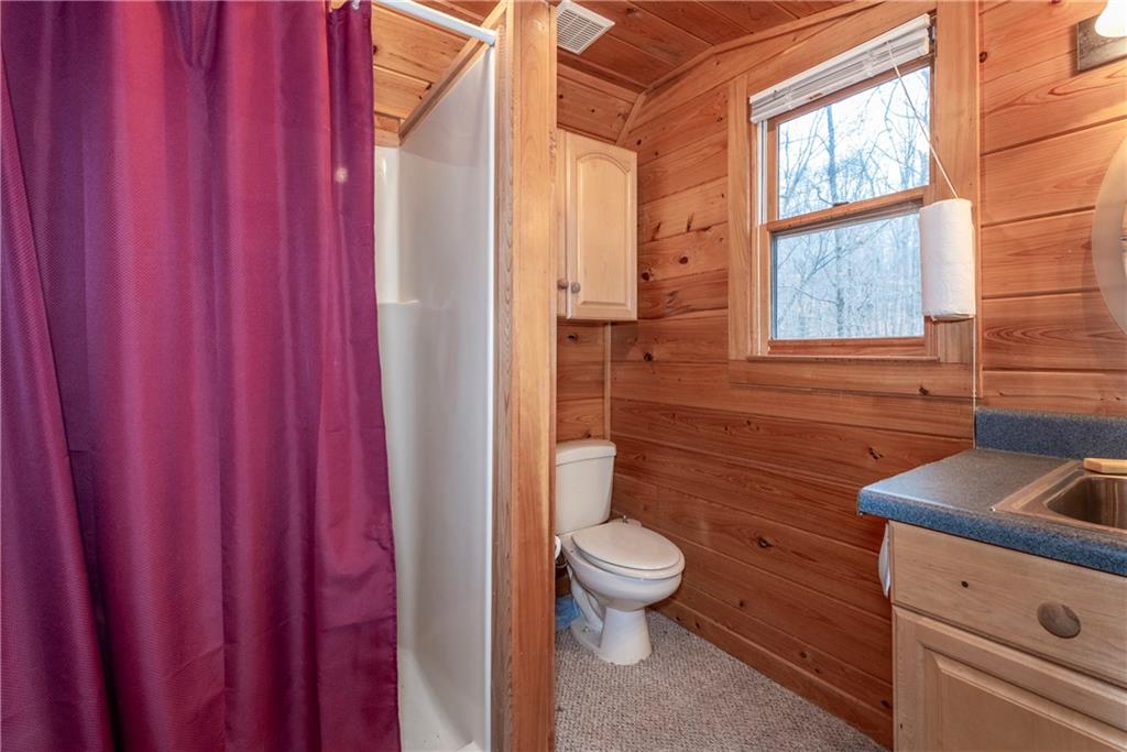 78 Ripple Creek Court Jasper, GA 30143 - Photo 39 of 43 a bathroom with a toilet a sink and a bath tub