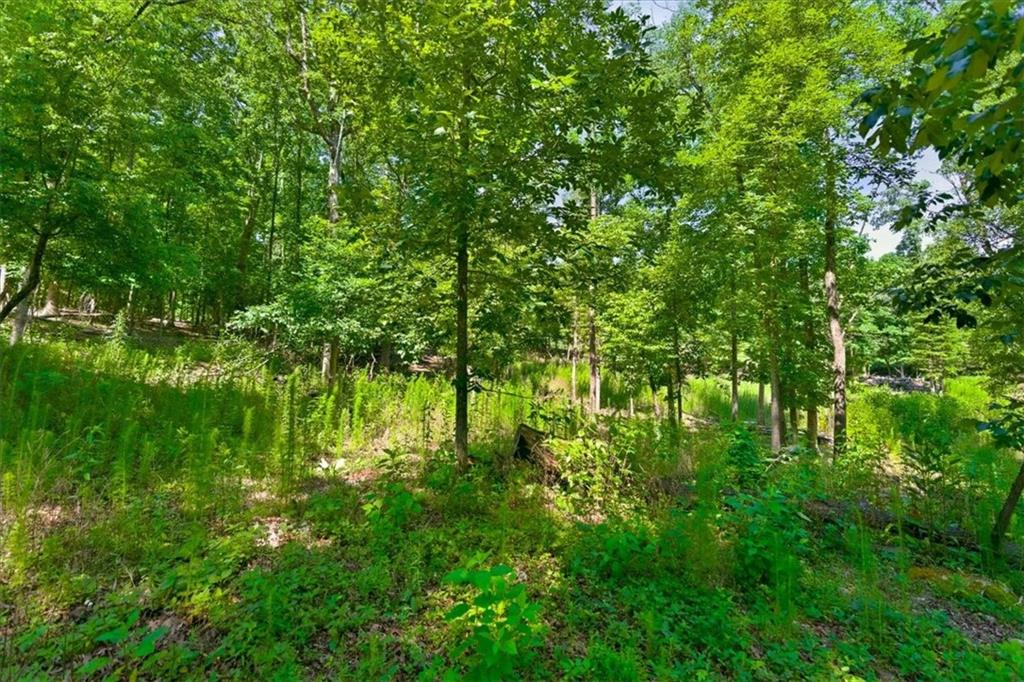 0 Williams Road Southeast Silver Creek, GA 30173 - Photo 19 of 35