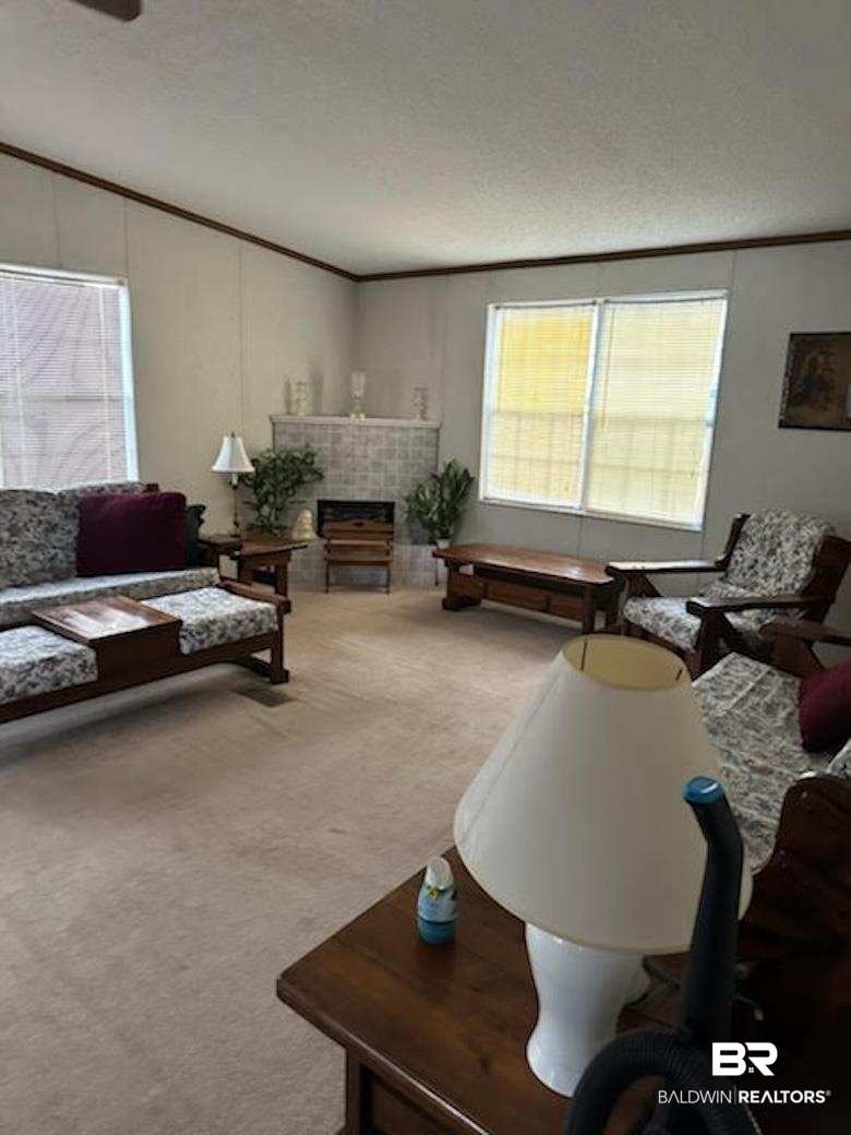 1119 Torres Lane Lillian, AL 36549 - Photo 4 of 24