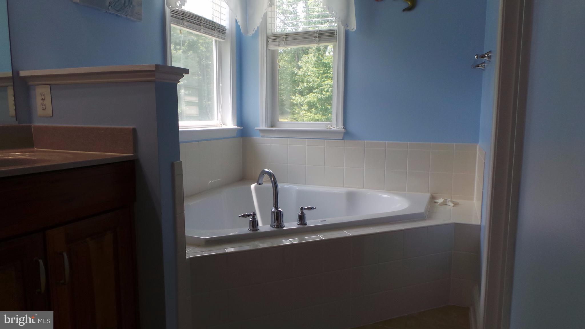 8067 Lundsford Road Locust Grove, VA 22508 - Photo 14 of 30 Bath (Master)