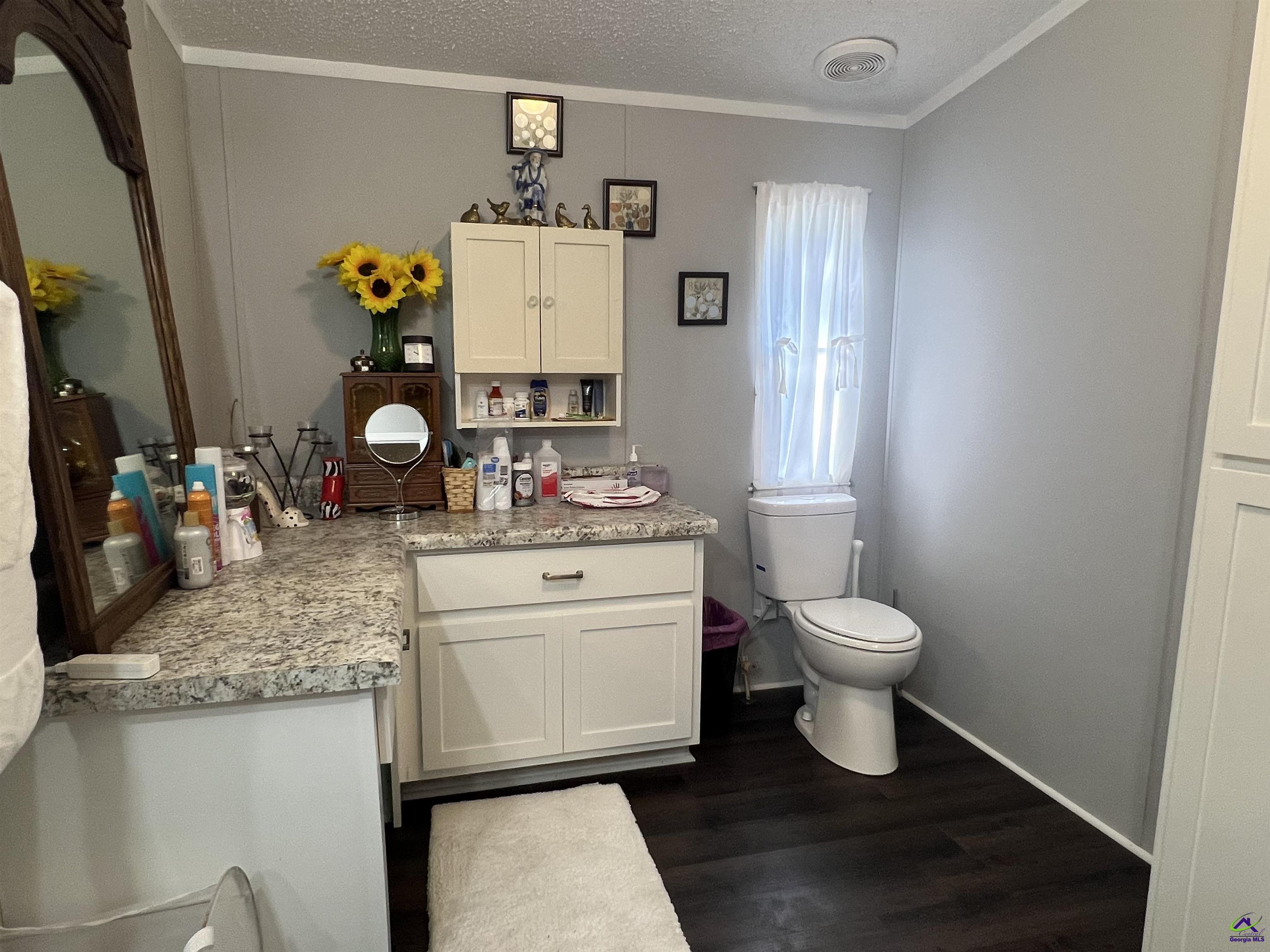 166 Pebble Hills Road Cochran, GA 31014 - Photo 21 of 27 a bathroom with a sink a toilet and mirror