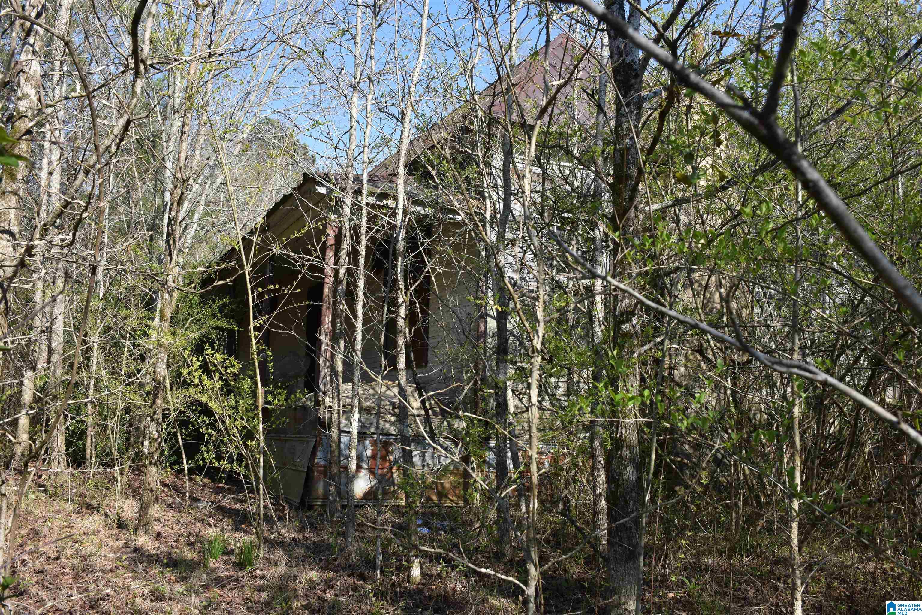 70 Coosa County Road Sylacauga, AL 35150 - Photo 11 of 19