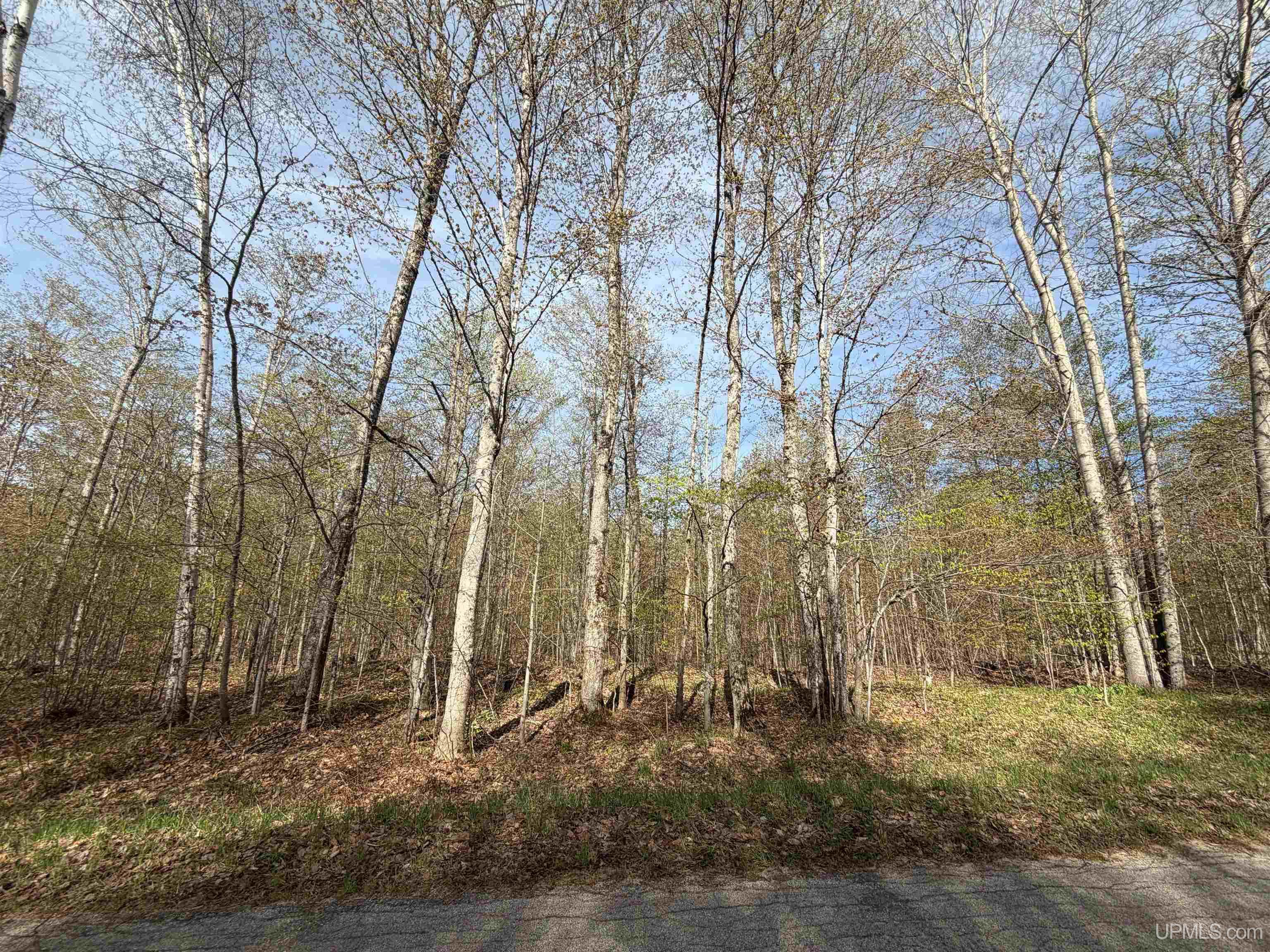 Tbd County Road 479 Road McMillan, MI 49853 - Photo 2 of 4