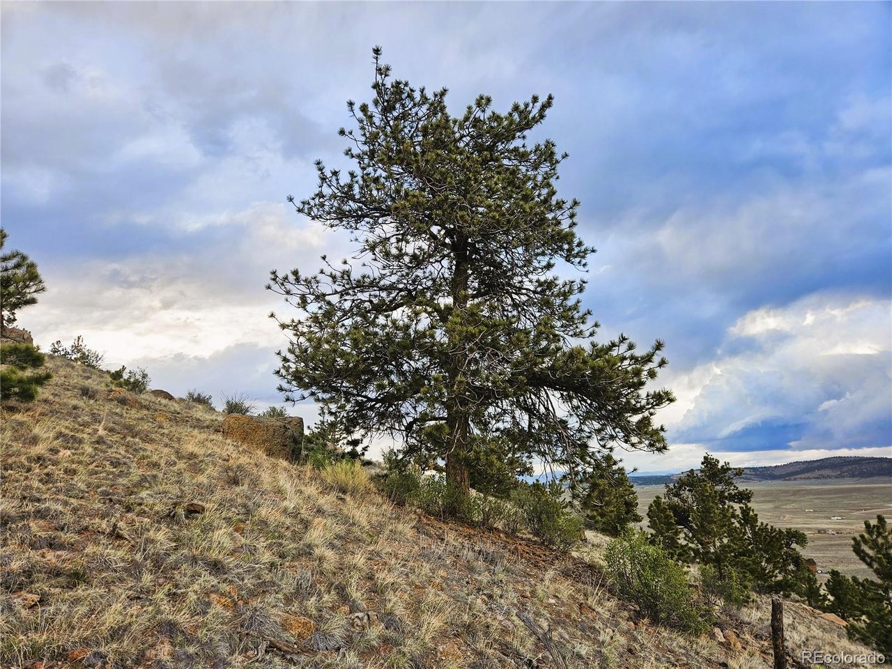 25468 Sioux Road Hartsel, CO 80449 - Photo 6 of 25