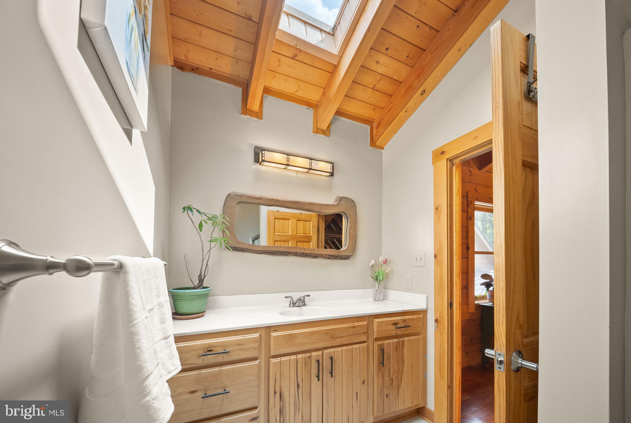 4020 Millwood Road Boyce, VA 22620 - Photo 61 of 132 New skylight added for more natural light.