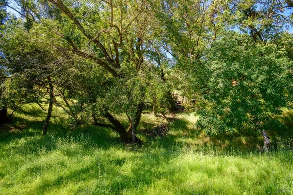 $23,000 | 0 Sunnyhill Lane, Unit 173, Napa, CA 94558