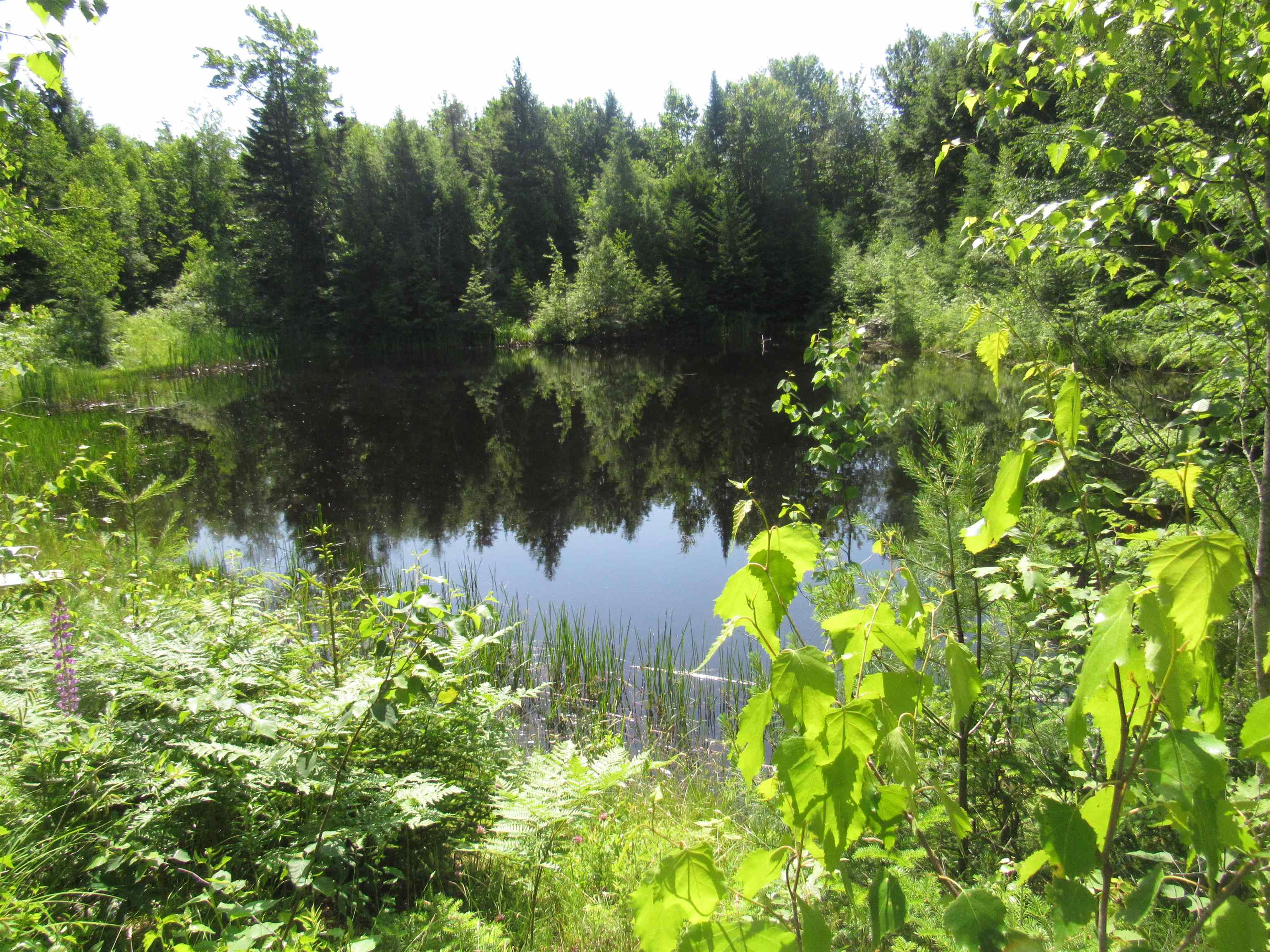 1239 Baldwin Brook Road Wolcott, VT 05680 - Photo 29 of 31