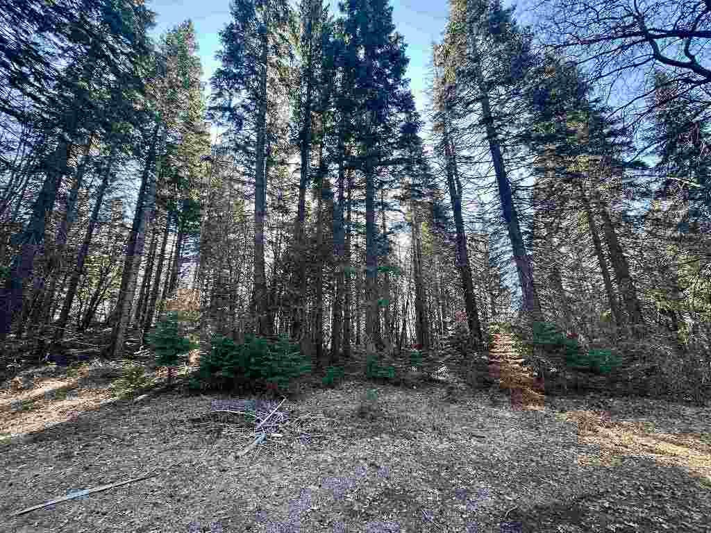 3 Deetz Road Rd Mount Mount Shasta, CA 96067 - Photo 29 of 37 Gallery Image 29