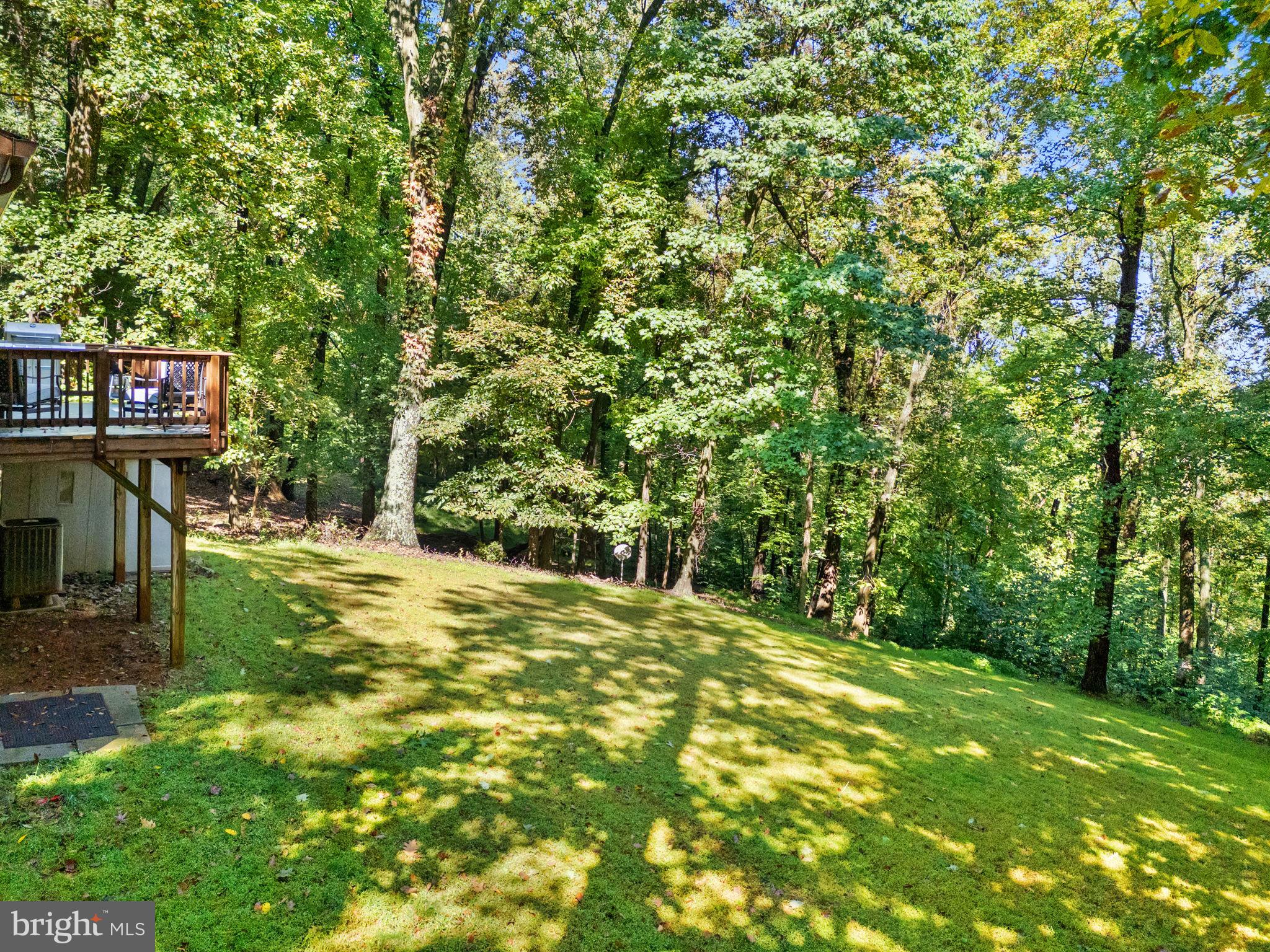 141 Pocahontas Road Front Royal, VA 22630 - Photo 55 of 66 Gallery Image 55