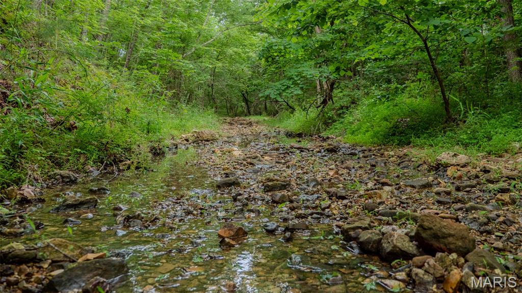 0 Hwy M Cabool, MO 65689 - Photo 29 of 68