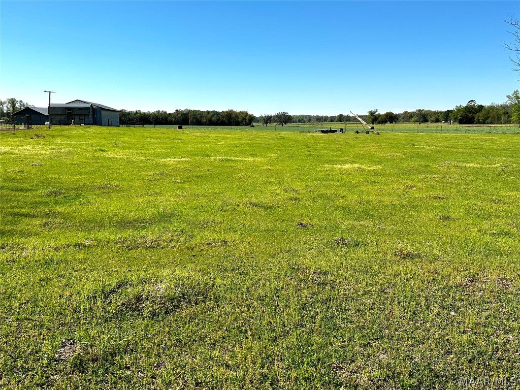 2.49-acres Ramer Loop Cottonwood, AL 36320 - Photo 2 of 8 Gallery Image 2