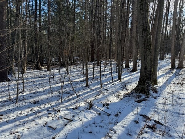 0 Mathews Road South Deerfield, MA 01373 - Photo 17 of 23 Gallery Image 17