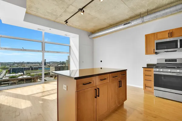 $315,000 | 1620 South Michigan Avenue, Unit 1117, Chicago, IL 60616