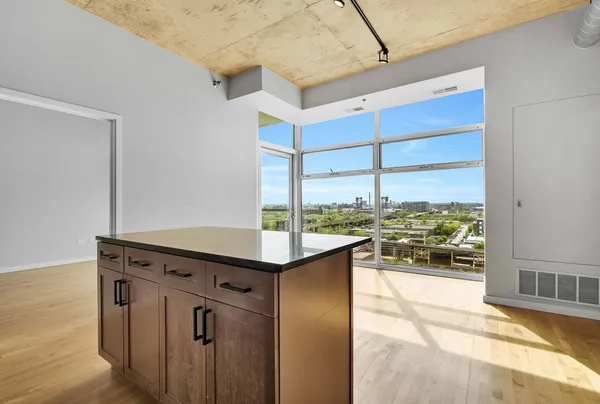 $315,000 | 1620 South Michigan Avenue, Unit 1117, Chicago, IL 60616