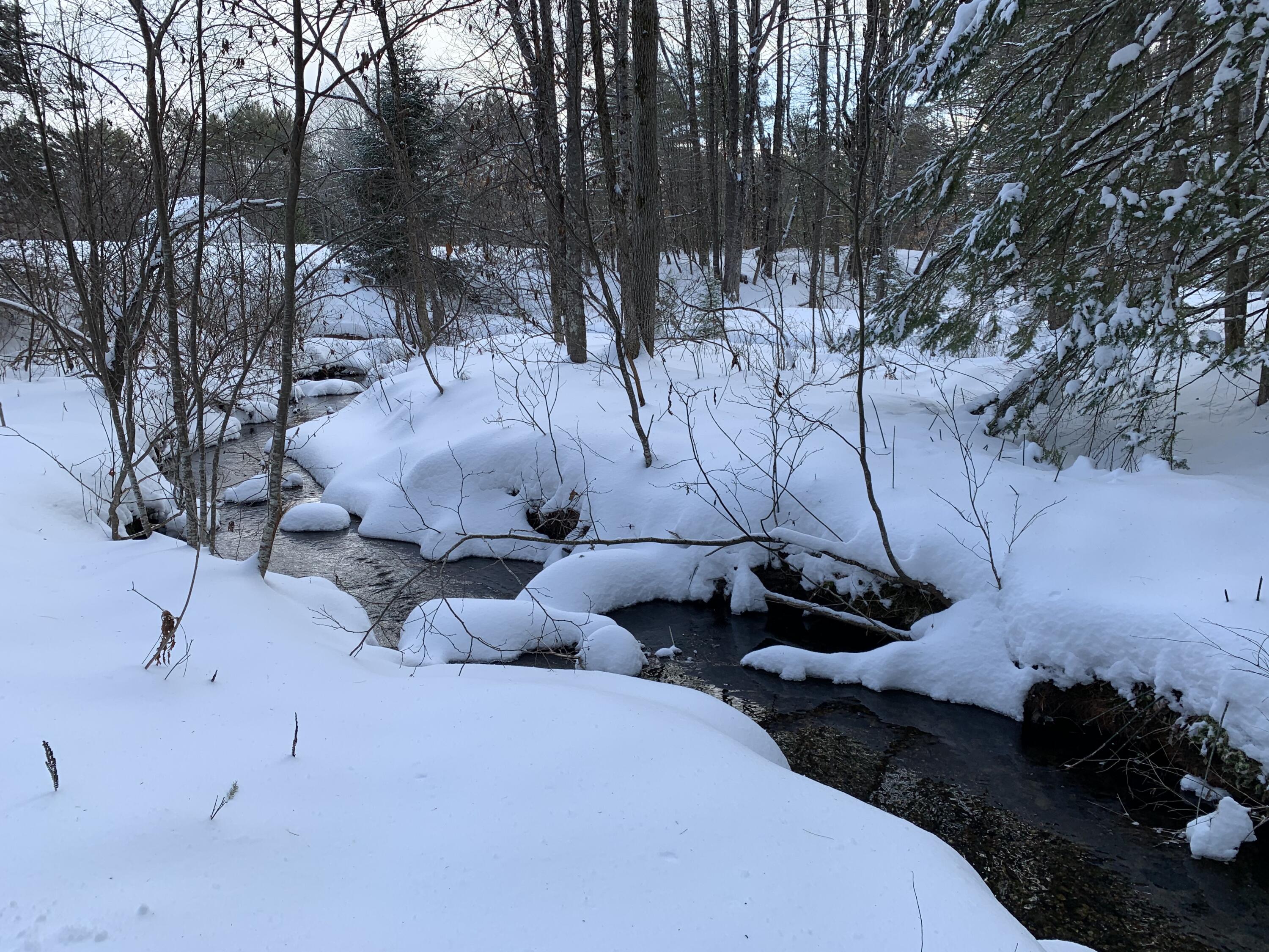 Lot 29 Sunnybrook Farm Road Bridgton, ME 04009 - Photo 10 of 12 Looking back at fields from brook