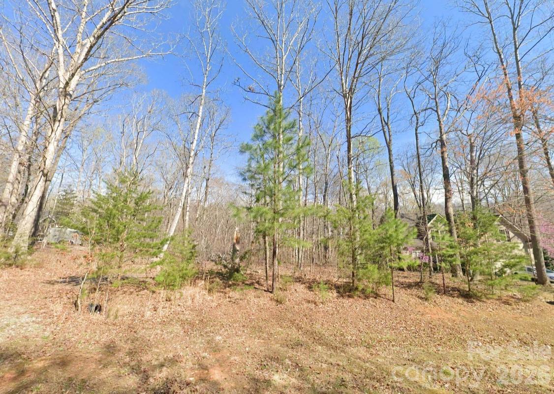 1621 Wolf Road Iron Station, NC 28080 - Photo 2 of 6