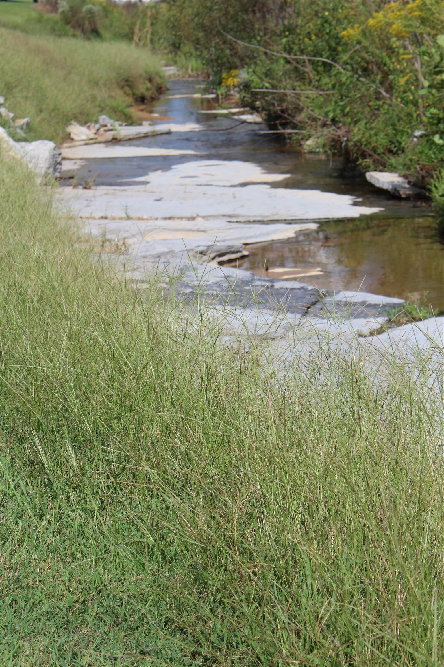 1117 King Road Centerville, TN 37033 - Photo 3 of 13 *Creek that runs in front of the house*