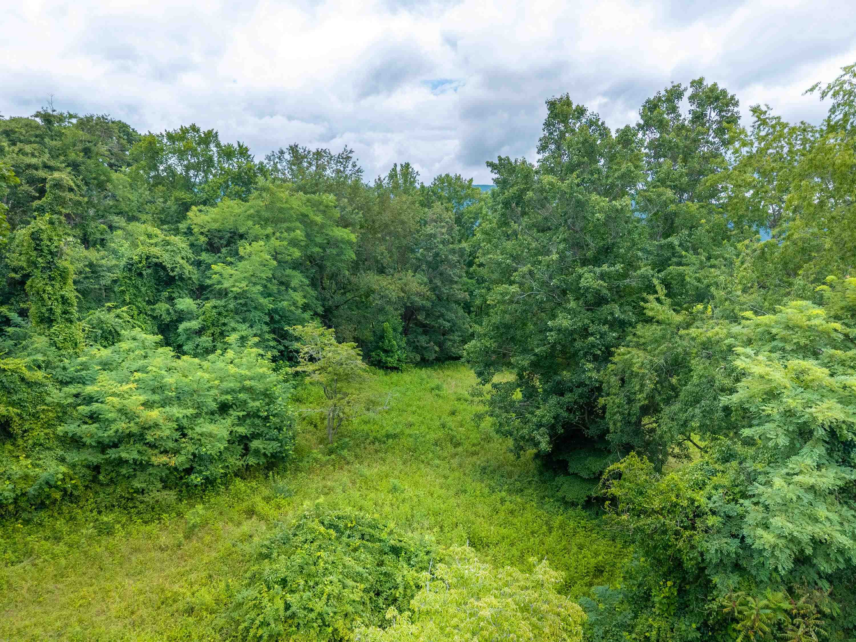 122 Walnut Grove Road Narrows, VA 24124 - Photo 69 of 83 Gallery Image 69