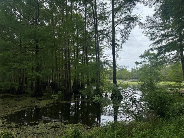 774 Claudes Road Colfax, LA 71417 - Photo 16 of 25