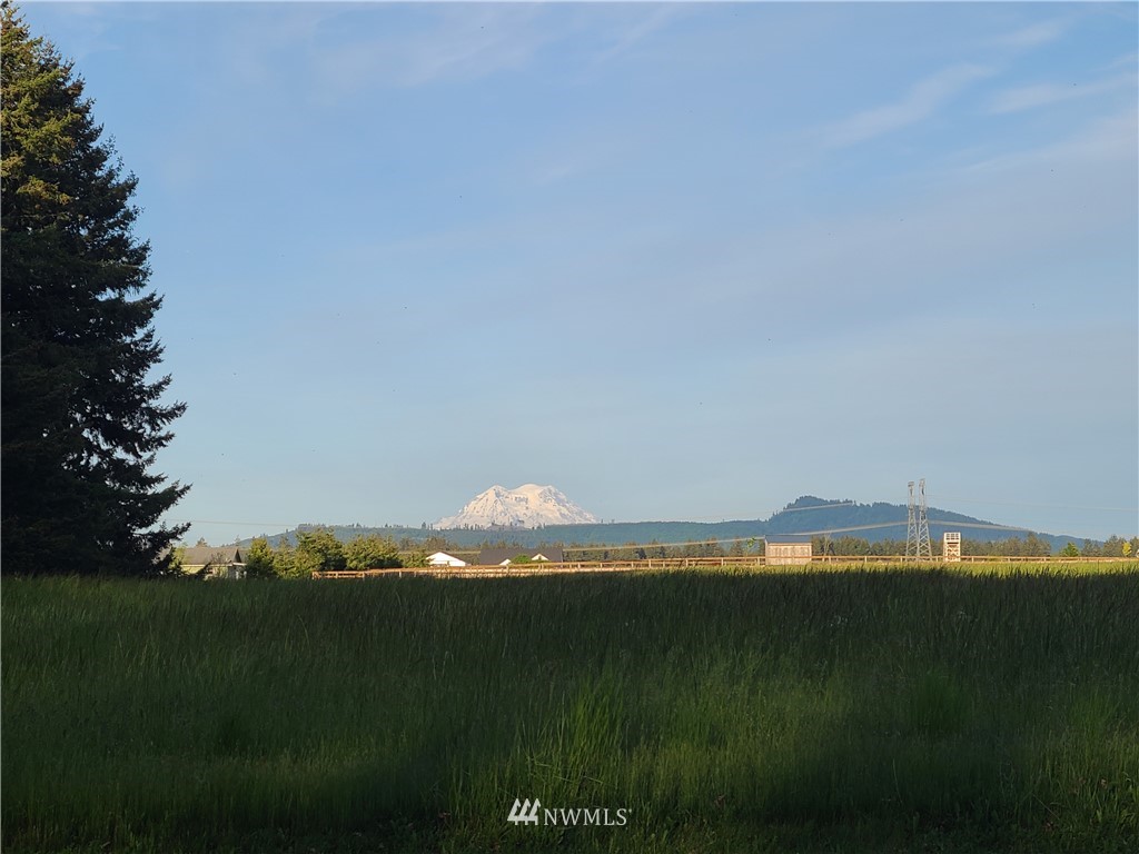 17147 Gibson Road Southwest Tenino, WA 98589 - Photo 21 of 21