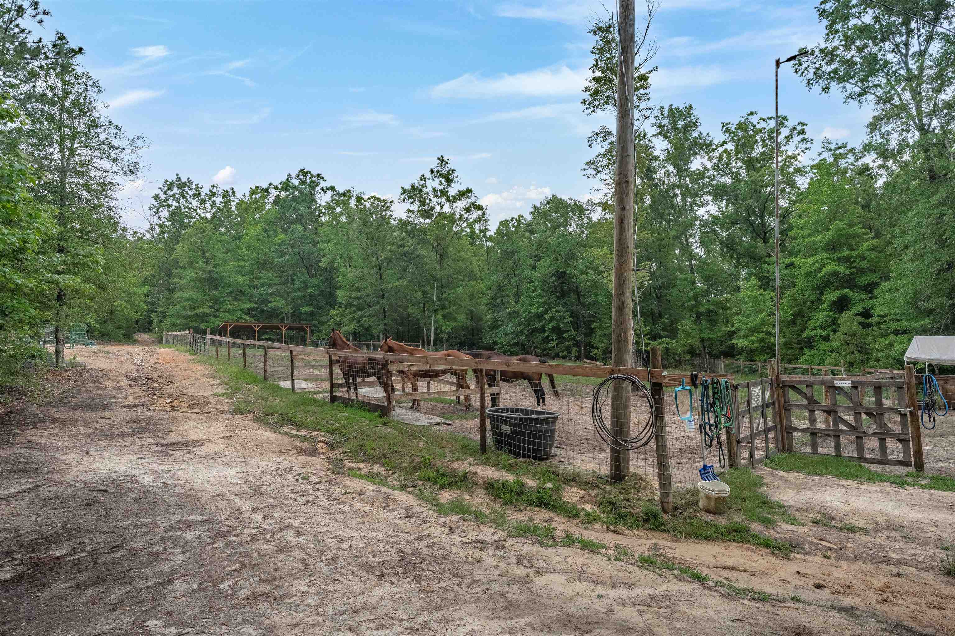 565 Portia Road Blythewood, SC 29016 - Photo 49 of 70