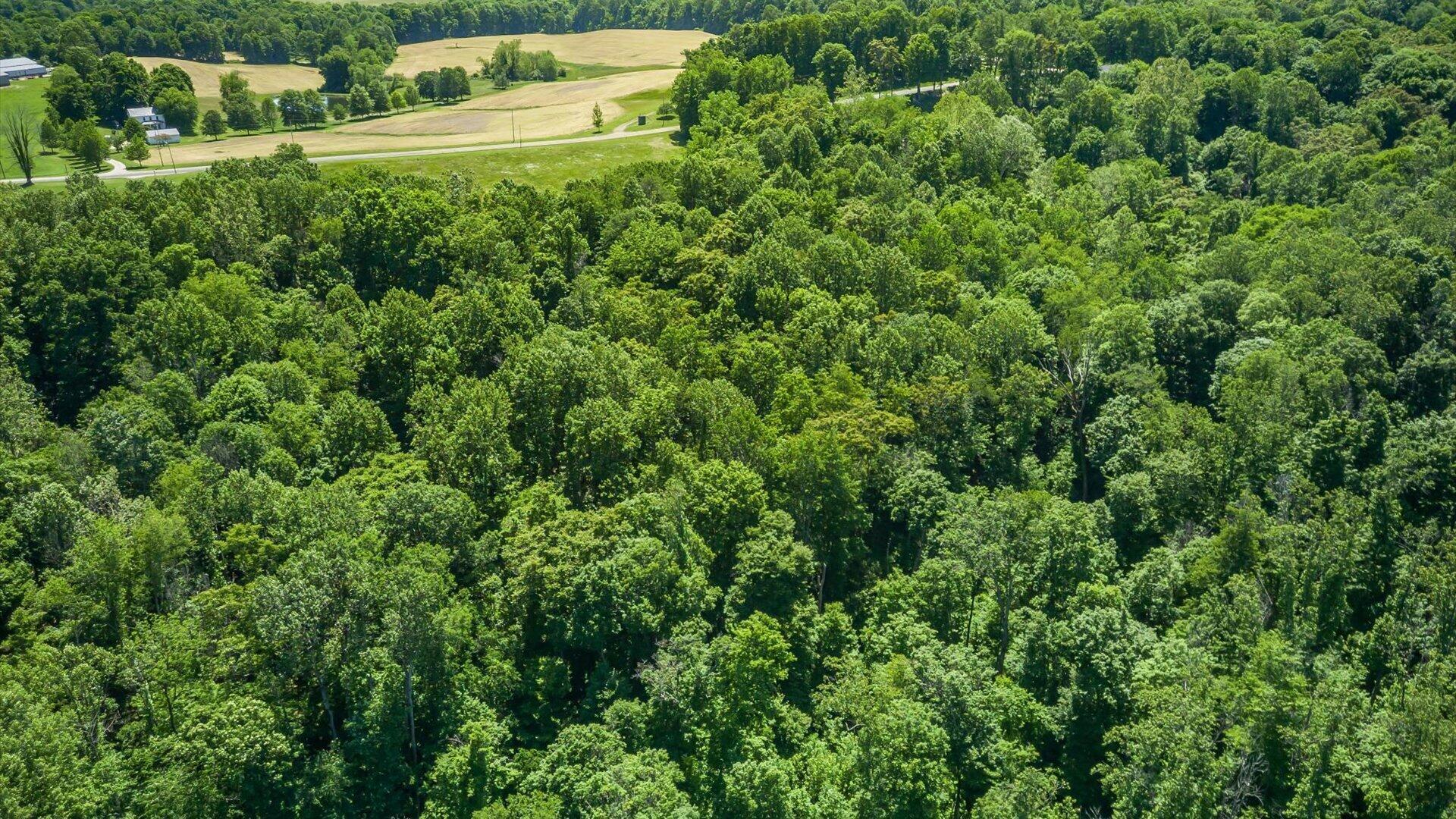 0 Flint Rdg Road Southeast Heath, OH 43056 - Photo 12 of 14 0 Flint Ridge Road
