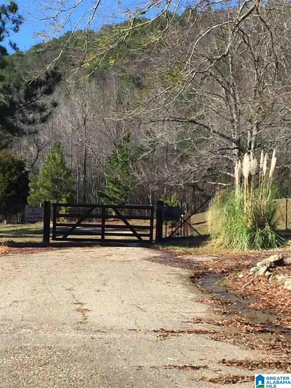 346 Hunters Lane Vandiver, AL 35176 - Photo 22 of 38