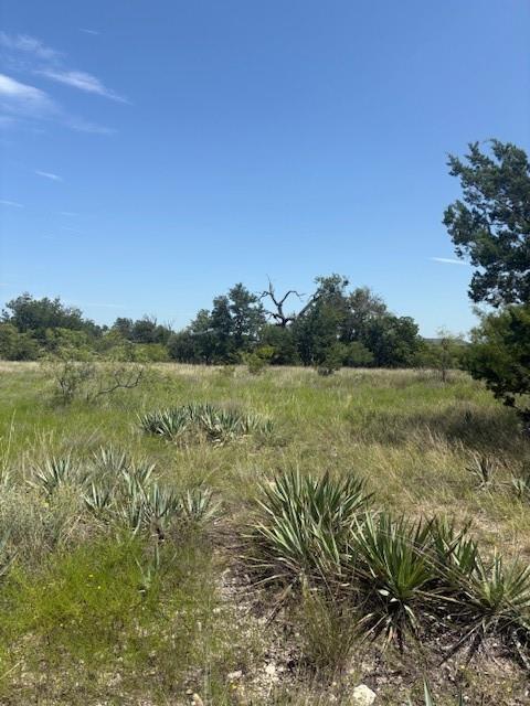 55 County Road West Comanche, TX 76442 - Photo 30 of 36 a view of lake with green space