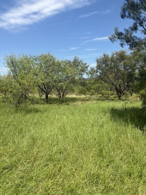 55 County Road West Comanche, TX 76442 - Photo 33 of 36 a view of a field with an ocean