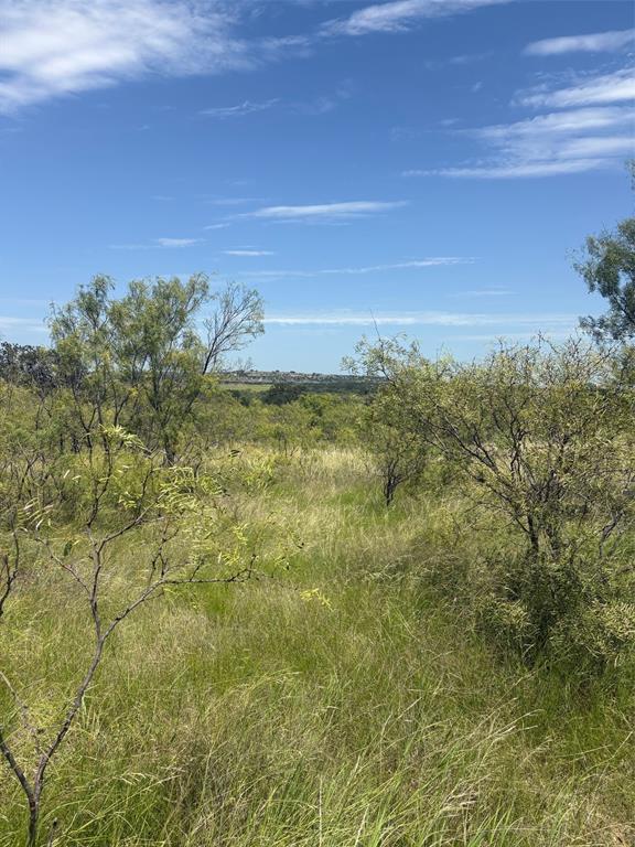 55 County Road West Comanche, TX 76442 - Photo 35 of 36 a view of a field with an ocean