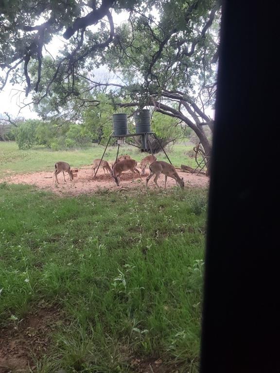 55 County Road West Comanche, TX 76442 - Photo 7 of 38 a backyard of a house with table and chairs
