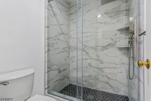 a bathroom with a shower and toilet