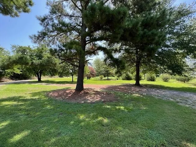 a view of yard with green field and trees