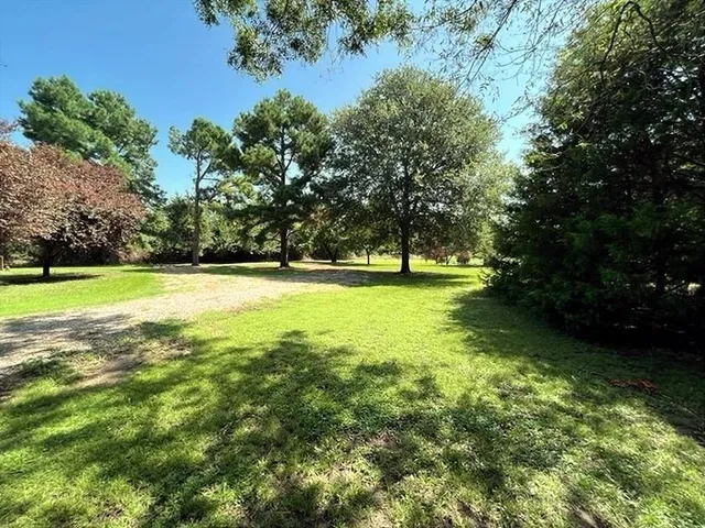 a view of yard with green field and trees