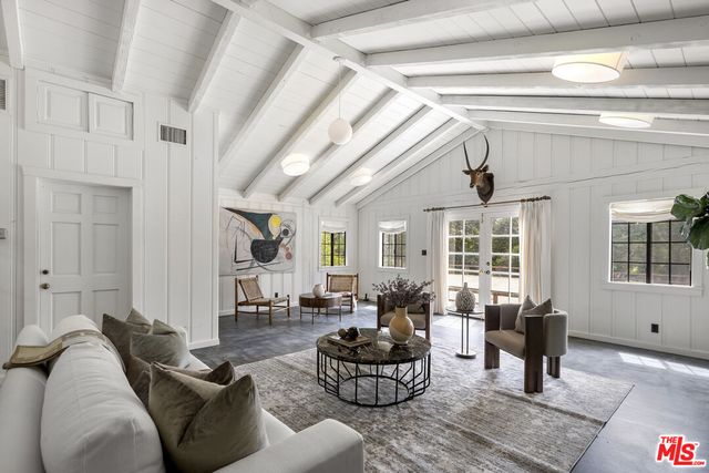 a view of a plant in a garden